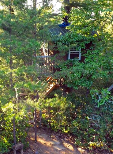 View treehouse from back deck